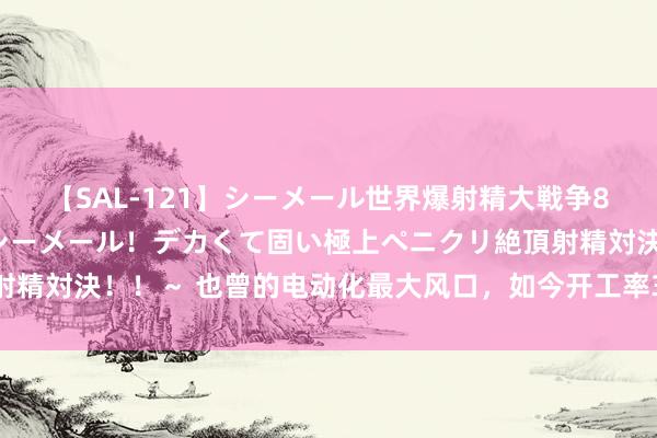 【SAL-121】シーメール世界爆射精大戦争8時間 ～国内＆金髪S級シーメール！デカくて固い極上ペニクリ絶頂射精対決！！～ 也曾的电动化最大风口，如今开工率36%，单价跌到3毛