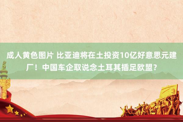 成人黄色图片 比亚迪将在土投资10亿好意思元建厂！中国车企取说念土耳其插足欧盟？