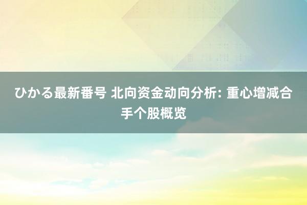 ひかる最新番号 北向资金动向分析: 重心增减合手个股概览