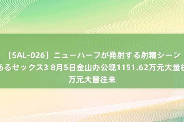 【SAL-026】ニューハーフが発射する射精シーンがあるセックス3 8月5日金山办公现1151.62万元大量往来