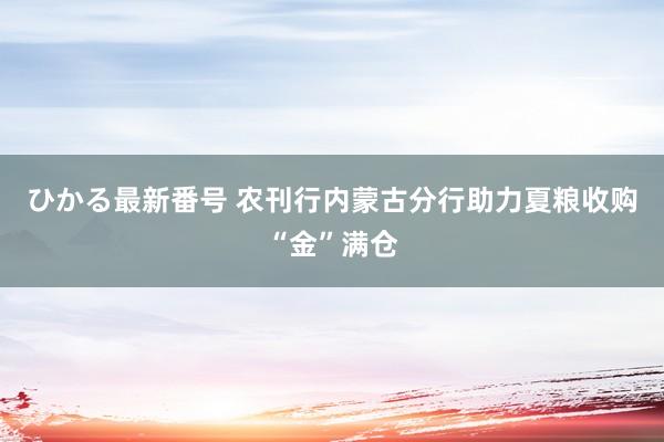 ひかる最新番号 农刊行内蒙古分行助力夏粮收购“金”满仓