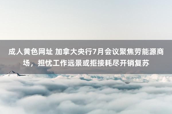 成人黄色网址 加拿大央行7月会议聚焦劳能源商场，担忧工作远景或拒接耗尽开销复苏