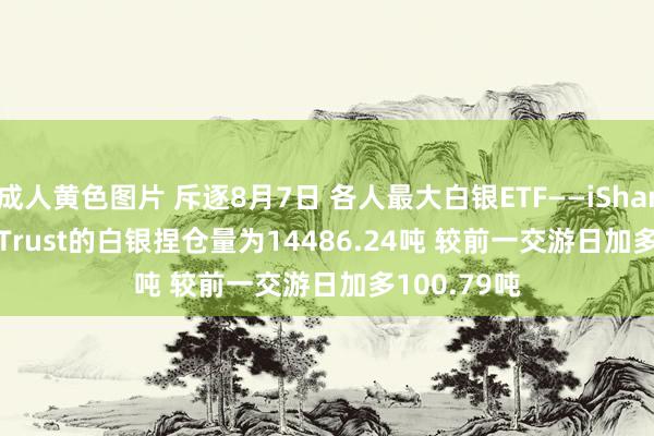 成人黄色图片 斥逐8月7日 各人最大白银ETF——iShares Silver Trust的白银捏仓量为14486.24吨 较前一交游日加多100.79吨