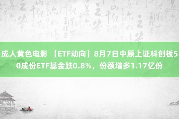 成人黄色电影 【ETF动向】8月7日中原上证科创板50成份ETF基金跌0.8%，份额增多1.17亿份