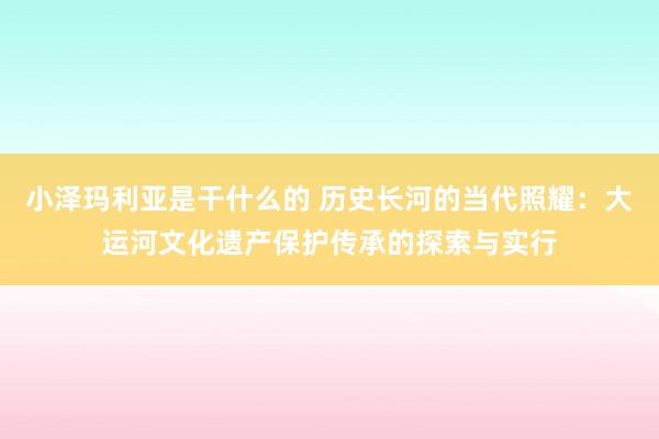 小泽玛利亚是干什么的 历史长河的当代照耀：大运河文化遗产保护传承的探索与实行