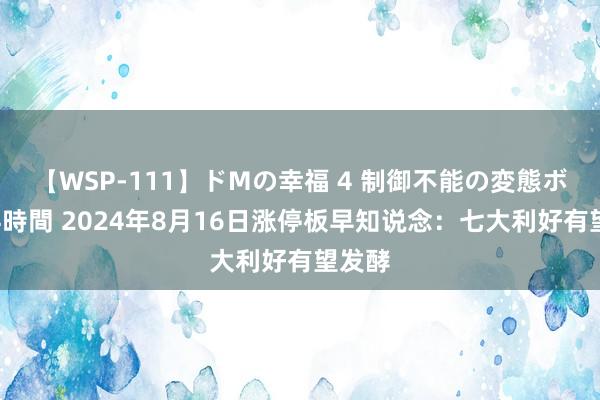 【WSP-111】ドMの幸福 4 制御不能の変態ボディ4時間 2024年8月16日涨停板早知说念：七大利好有望发酵