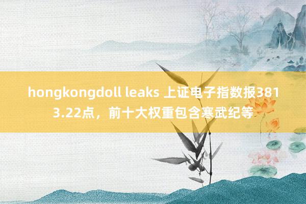 hongkongdoll leaks 上证电子指数报3813.22点，前十大权重包含寒武纪等