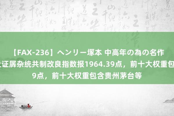 【FAX-236】ヘンリー塚本 中高年の為の名作裏ビデオ集 上证羼杂统共制改良指数报1964.39点，前十大权重包含贵州茅台等