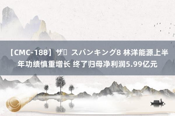 【CMC-188】ザ・スパンキング8 林洋能源上半年功绩慎重增长 终了归母净利润5.99亿元