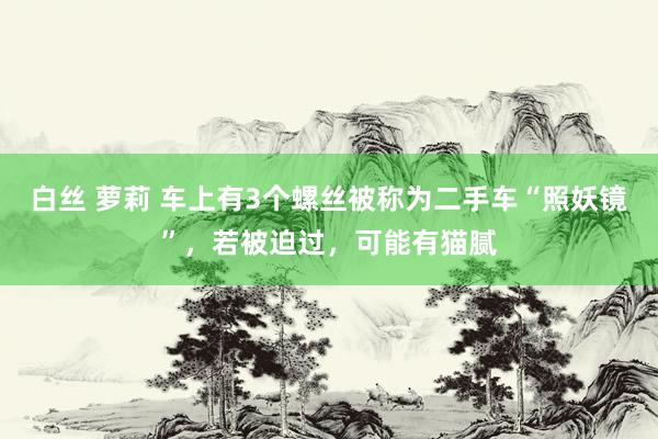 白丝 萝莉 车上有3个螺丝被称为二手车“照妖镜”，若被迫过，可能有猫腻