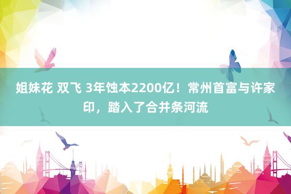 姐妹花 双飞 3年蚀本2200亿！常州首富与许家印，踏入了合并条河流