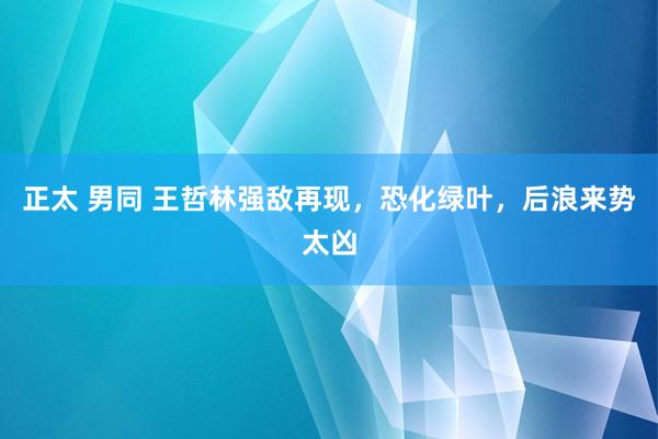 正太 男同 王哲林强敌再现，恐化绿叶，后浪来势太凶