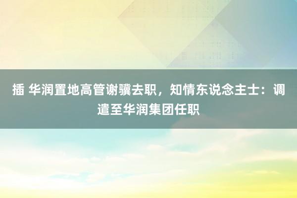 插 华润置地高管谢骥去职，知情东说念主士：调遣至华润集团任职