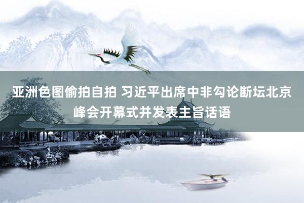 亚洲色图偷拍自拍 习近平出席中非勾论断坛北京峰会开幕式并发表主旨话语