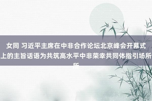 女同 习近平主席在中非合作论坛北京峰会开幕式上的主旨话语为共筑高水平中非荣幸共同体指引场所