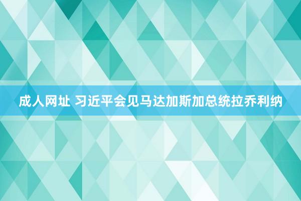 成人网址 习近平会见马达加斯加总统拉乔利纳