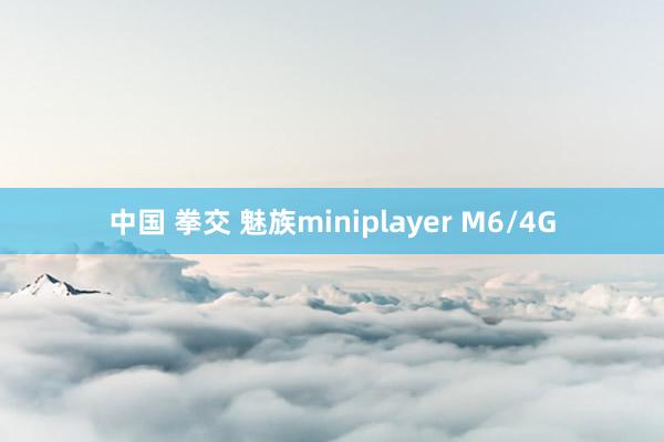 中国 拳交 魅族miniplayer M6/4G