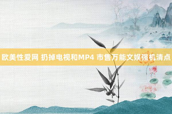 欧美性爱网 扔掉电视和MP4 市售万能文娱强机清点