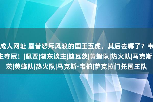 成人网址 曩昔怒斥风浪的国王五虎，其后去哪了？韦伯悲情一世，一东谈主夺冠！|佩贾|湖东谈主|迪瓦茨|黄蜂队|热火队|马克斯·韦伯|萨克拉门托国王队