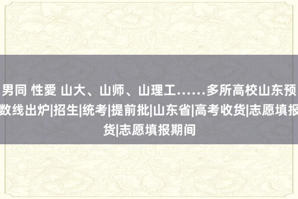 男同 性愛 山大、山师、山理工……多所高校山东预估分数线出炉|招生|统考|提前批|山东省|高考收货|志愿填报期间